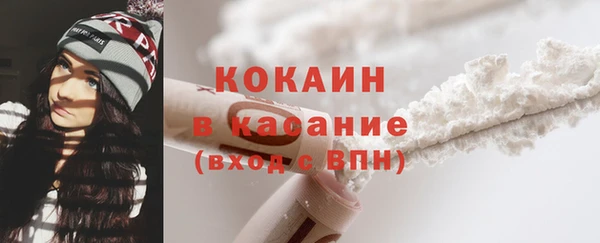ГАЛЛЮЦИНОГЕННЫЕ ГРИБЫ Белокуриха