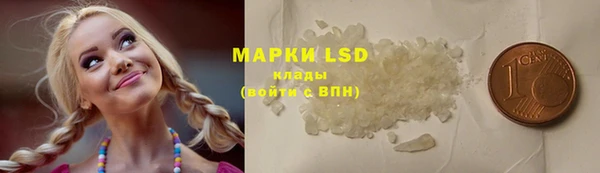ГАЛЛЮЦИНОГЕННЫЕ ГРИБЫ Белокуриха