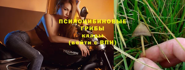 ГАЛЛЮЦИНОГЕННЫЕ ГРИБЫ Белокуриха