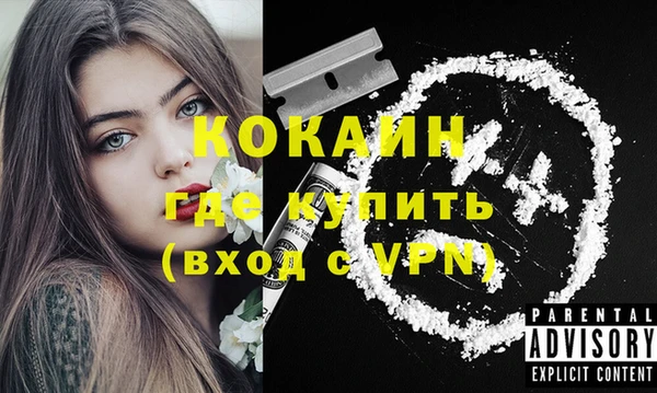 ГАЛЛЮЦИНОГЕННЫЕ ГРИБЫ Белокуриха